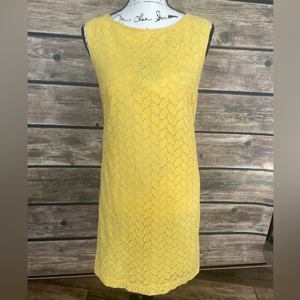 Lined Ann Taylor Loft Dress